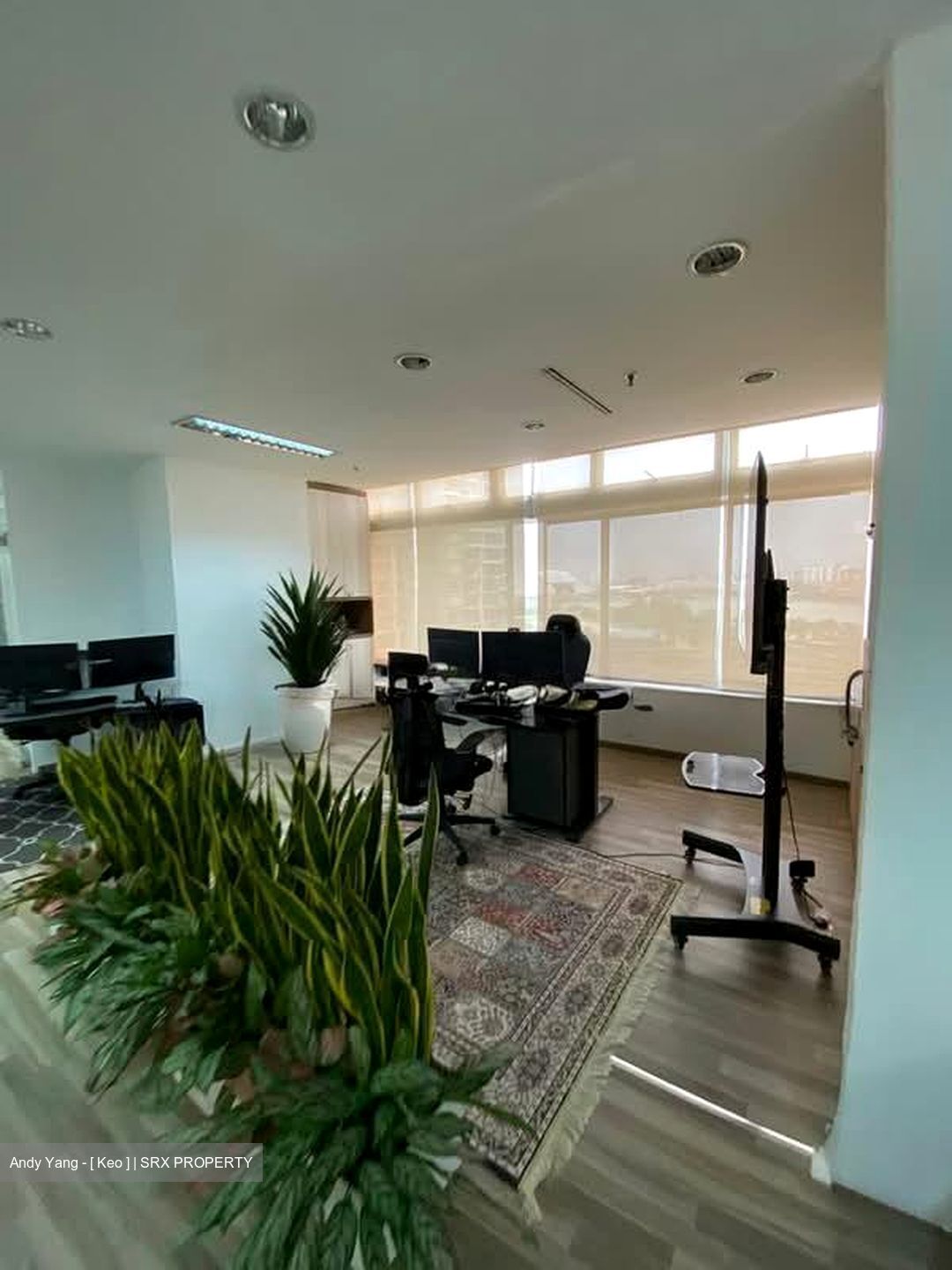 The Plaza (D7), Office #554072491